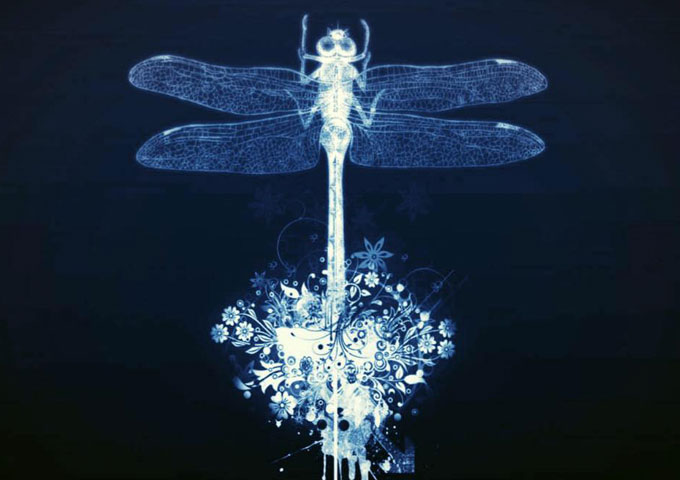 12Gage: “Dragonfly 44” – embodies a vision of excellence and purity