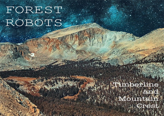 Forest Robots: “Timberline and Mountain Crest” – multiple sonic layers and deep rhythm